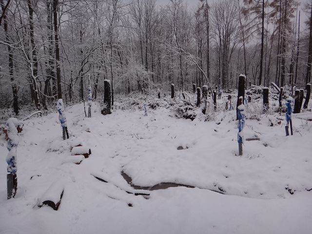 雪囲い
