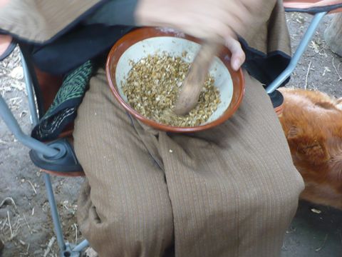 とうもろこし乾燥
